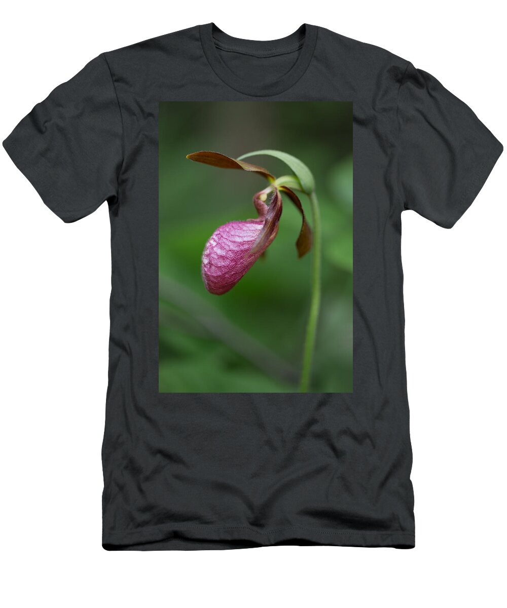 Canada T-Shirt featuring the photograph Pink Ladys Slipper Cypripedium acaule by Jakub Sisak