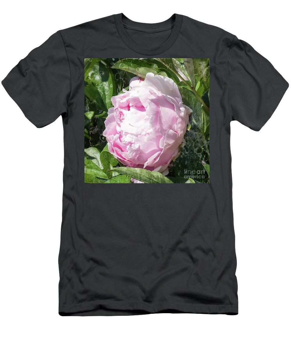 Pink Peony T-Shirt featuring the photograph Pink Peony by Scott and Dixie Wiley