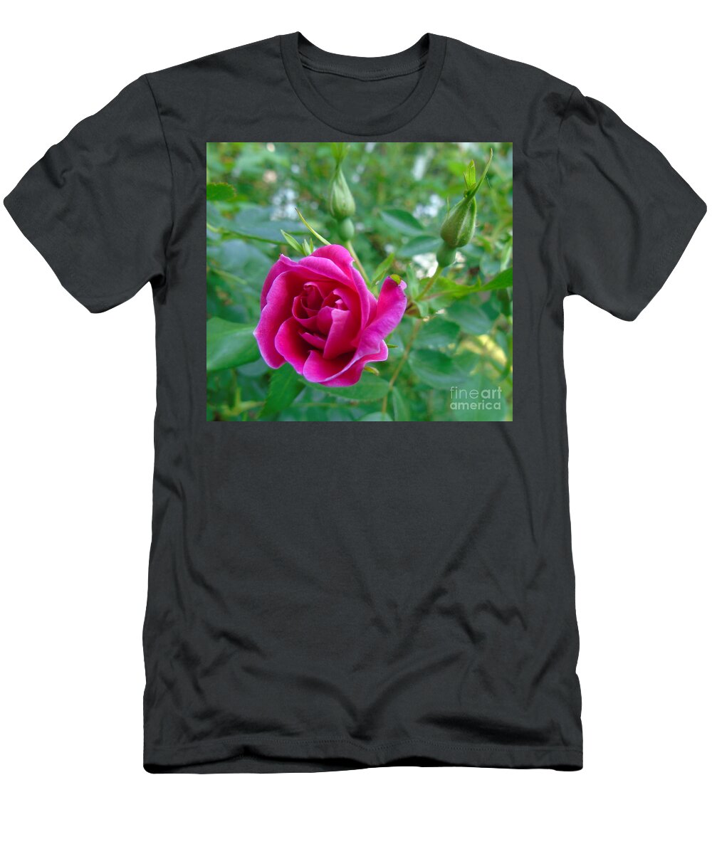 William Baffin Rose T-Shirt featuring the photograph Pink Rose and Buds by Susan Lafleur