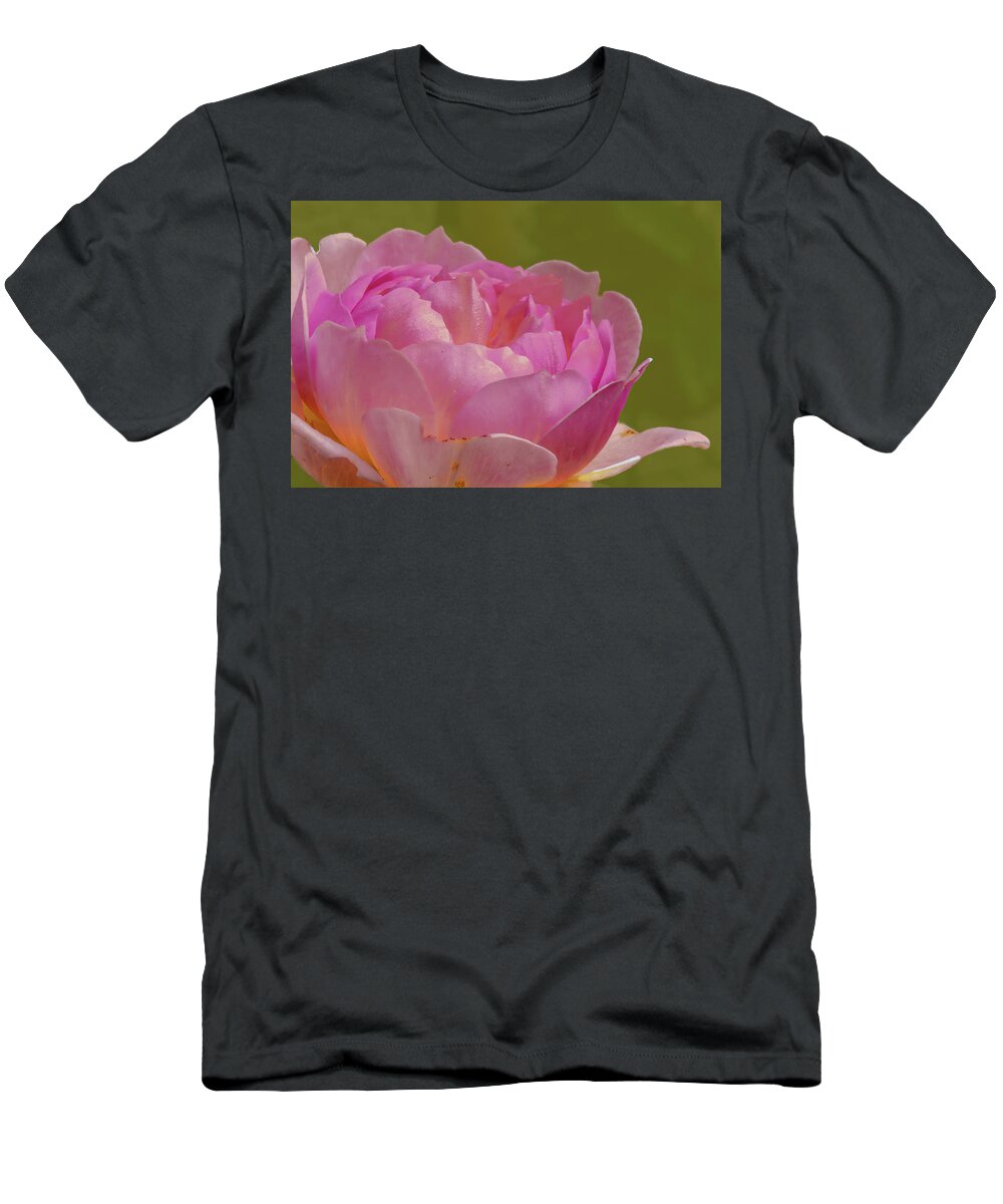 Color T-Shirt featuring the photograph Pink rose #d3 by Leif Sohlman