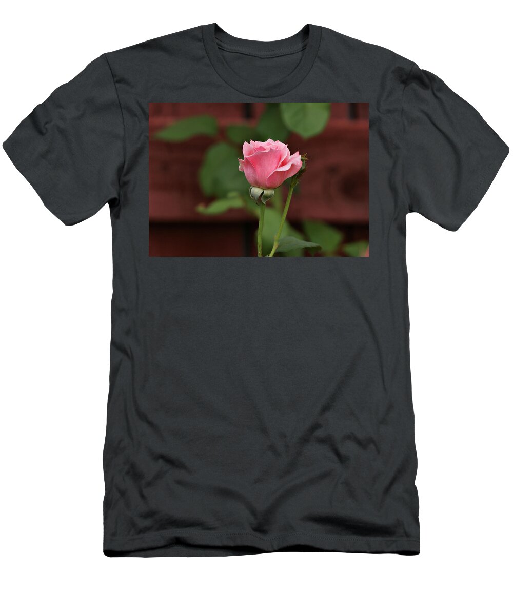 Rose T-Shirt featuring the photograph Pink Rose in the Garden by Sandy Keeton