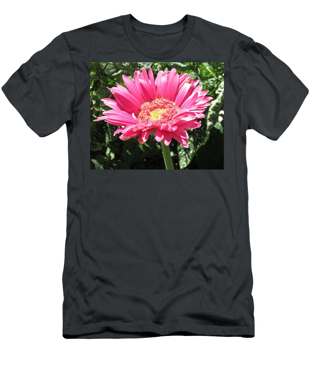 Pink T-Shirt featuring the photograph Pink by Tambra Nicole Kendall