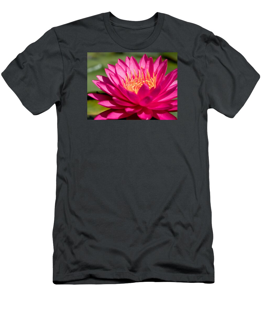 Waterlily T-Shirt featuring the photograph Pink Waterlily by Paula Ponath