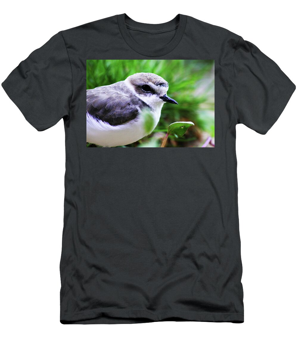Piping Plover T-Shirt featuring the photograph Piping Plover by Anthony Jones