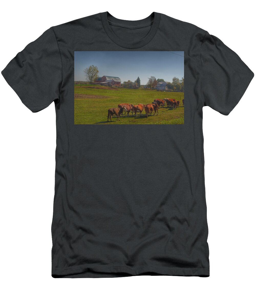 Cows T-Shirt featuring the photograph 1014 - Plain Road Farm and Cows I by Sheryl L Sutter