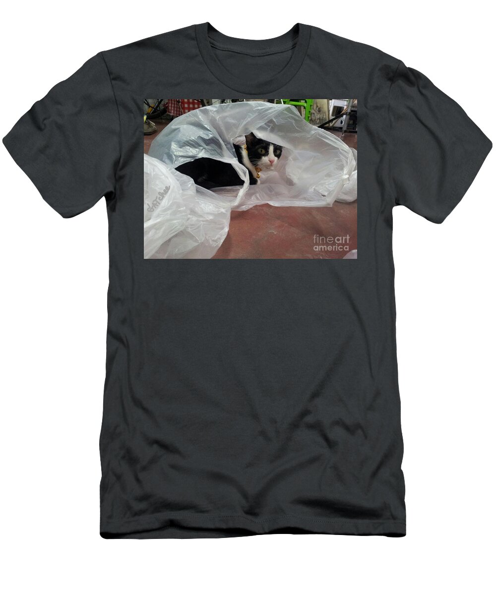 Gatchee T-Shirt featuring the photograph Playing of A Cat by Sukalya Chearanantana