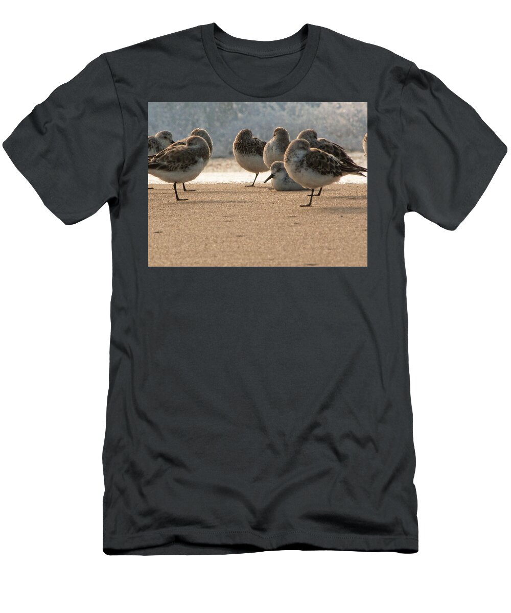 Plover T-Shirt featuring the photograph Plovers in the morning sunlight by Christopher Mercer
