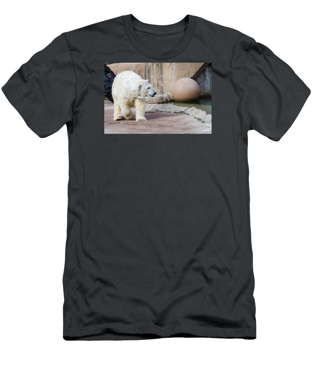 Polar Bear T-Shirt featuring the photograph Polar Bear 2 by Susan McMenamin