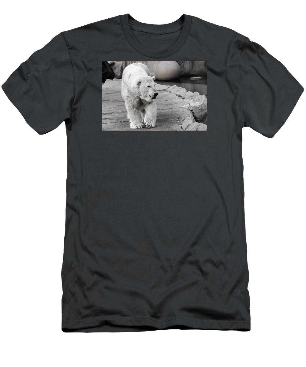 Polar Bear T-Shirt featuring the photograph Polar Bear 3 by Susan McMenamin