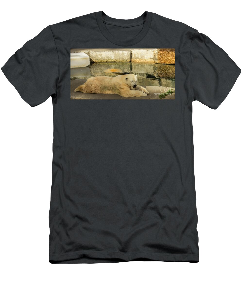 Polar Bear T-Shirt featuring the photograph Polar Bear Poolside by Suzanne Luft