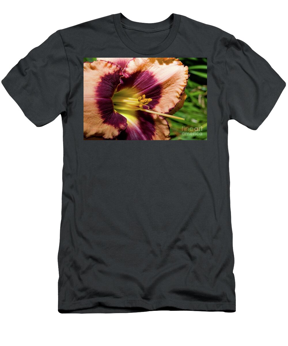 Arrangement T-Shirt featuring the photograph Pollen place by Alan Look