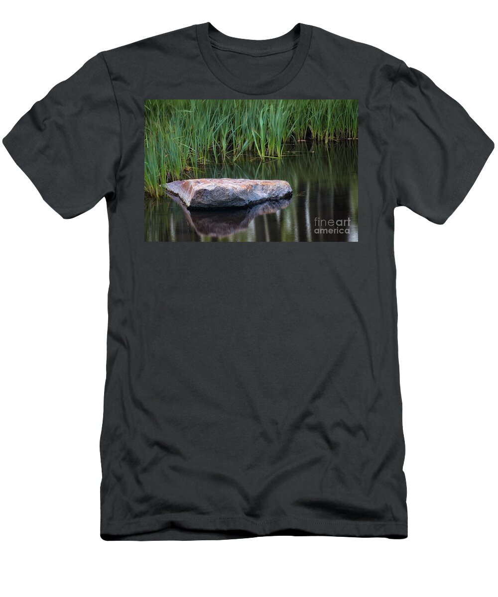Pond T-Shirt featuring the photograph Pond by Anthony Michael Bonafede