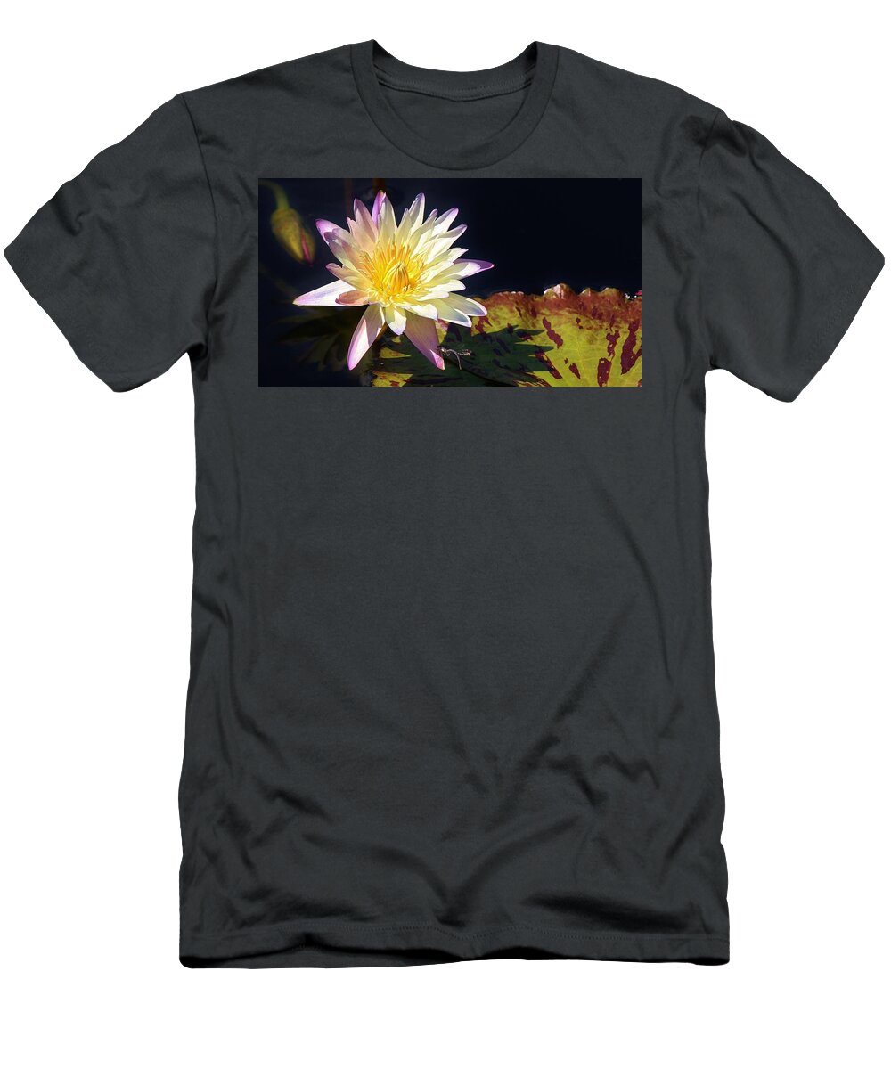 Water Lily T-Shirt featuring the photograph Pond Beauty by Bruce Bley
