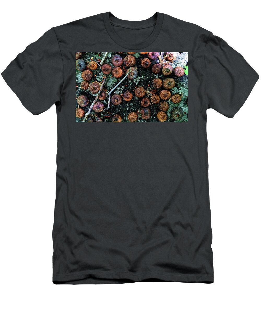 Acorn T-Shirt featuring the photograph Pop Top Festival by Vincent Green
