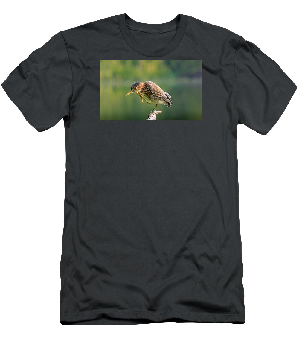 Heron T-Shirt featuring the photograph Posing Heron by Jerry Cahill
