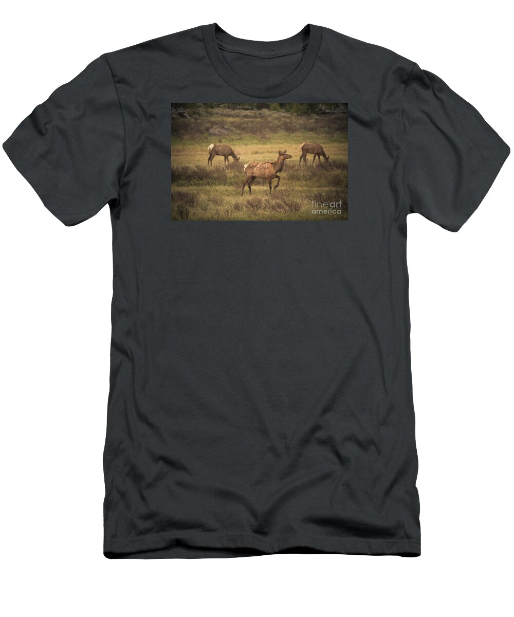 Photography T-Shirt featuring the photograph Prancing Elk by Robert Bales