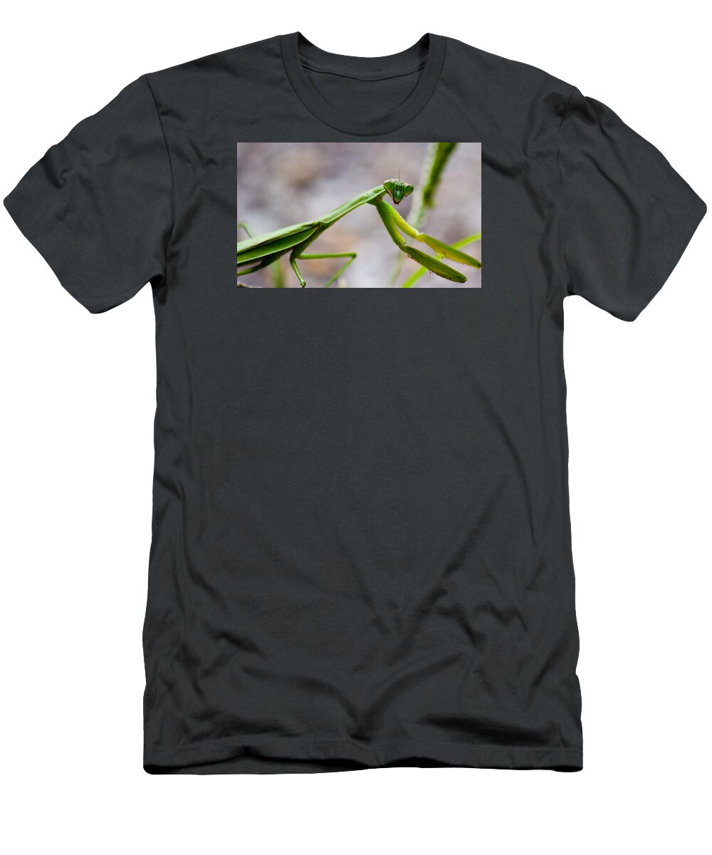 Praying T-Shirt featuring the photograph Praying Mantis Looking by Jonny D