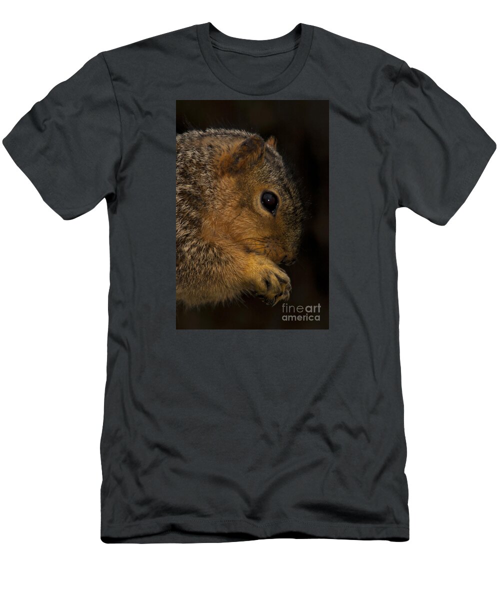 Praying Squirrel T-Shirt featuring the photograph Praying Squirrel by John Harmon