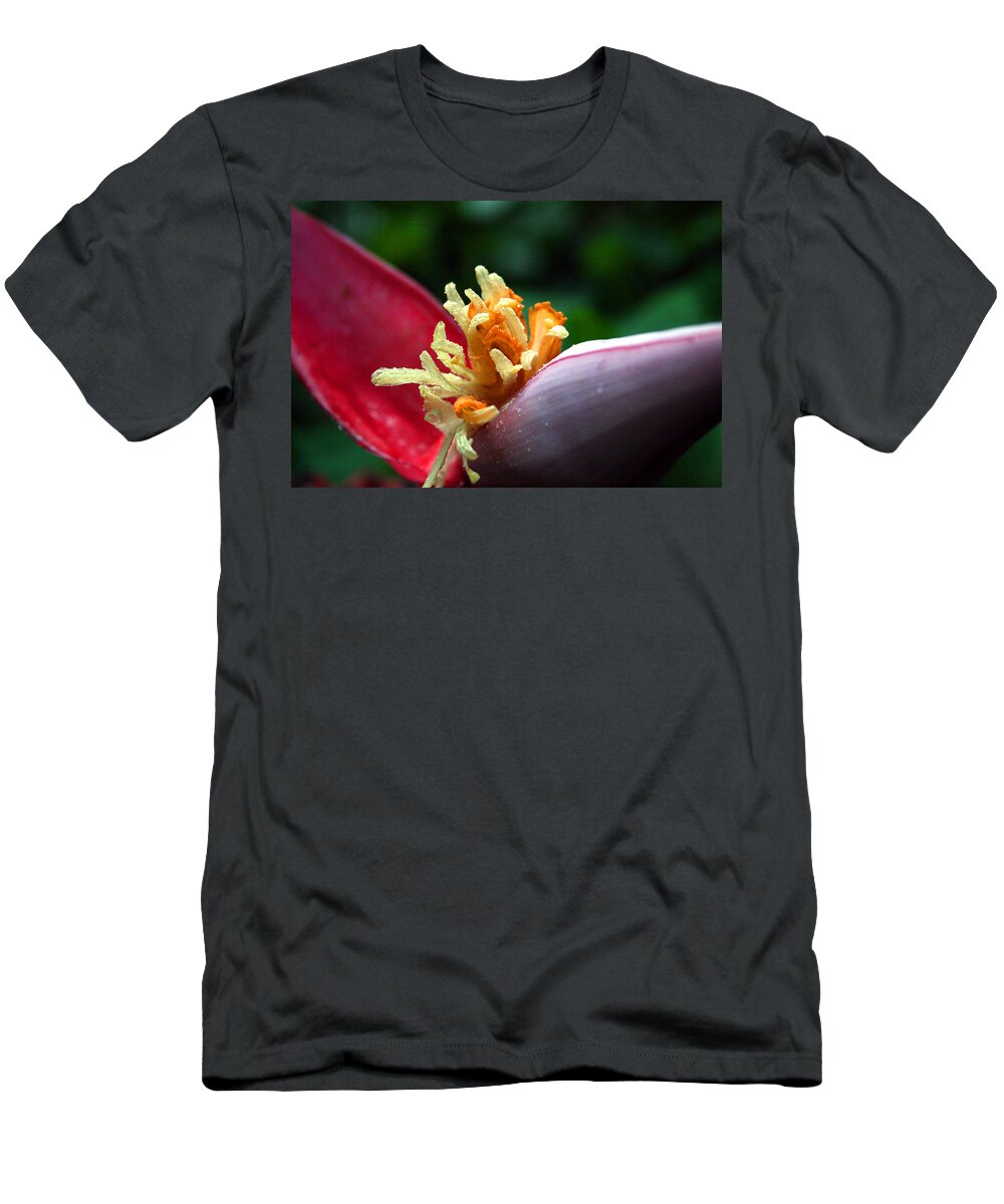 Hawaiian Bananas T-Shirt featuring the photograph Pre Bananas by Jennifer Bright Burr
