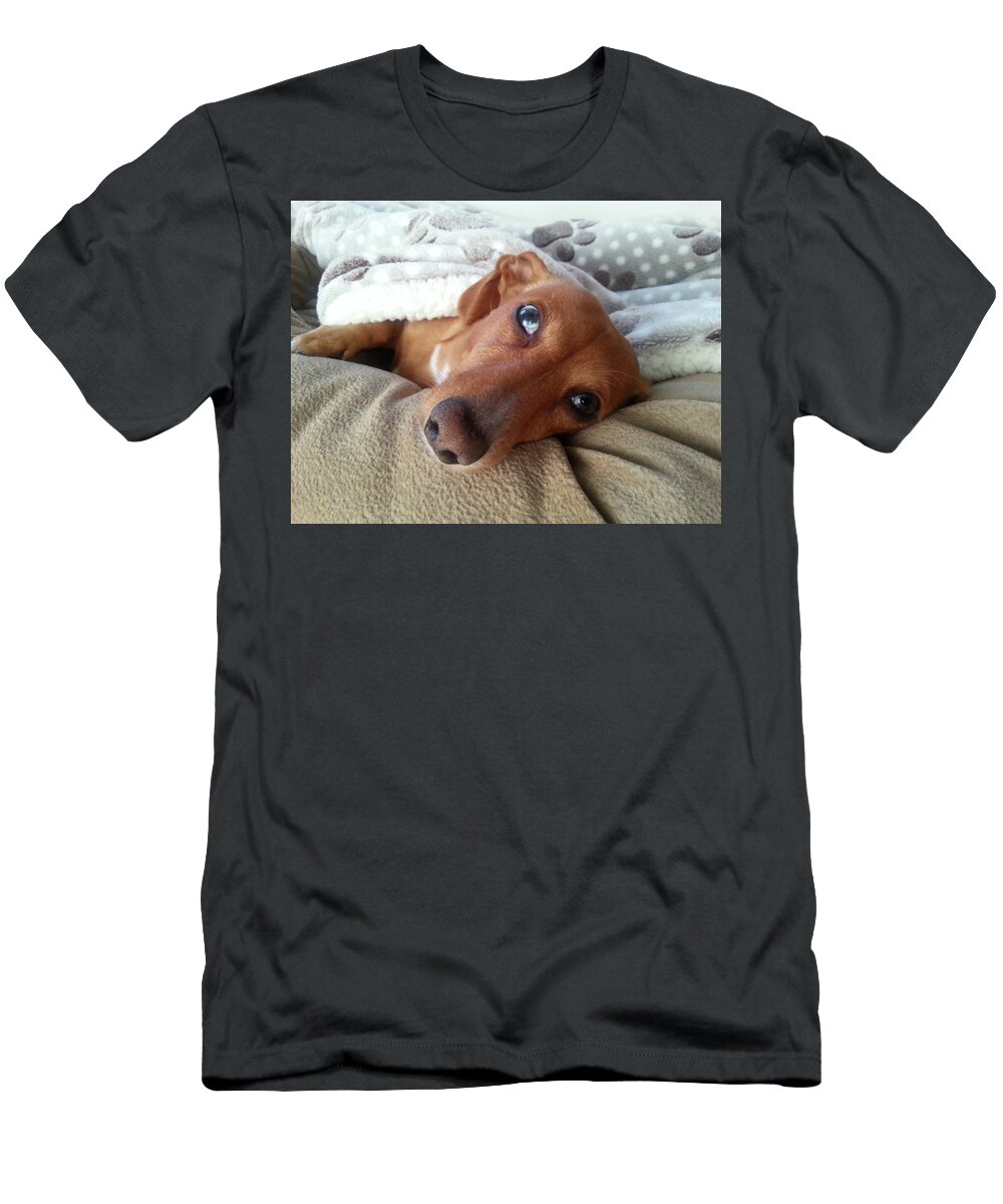 The Pretzel. Almost Famous Dog! T-Shirt featuring the photograph Pretzel by Chera by John Loreaux