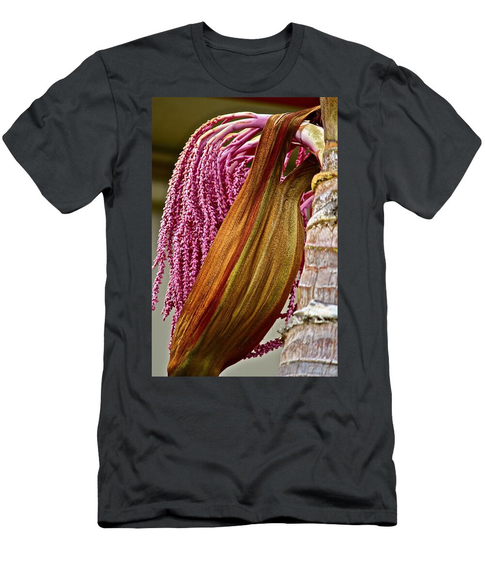 Tree T-Shirt featuring the photograph Pretty In Pink by Diana Hatcher
