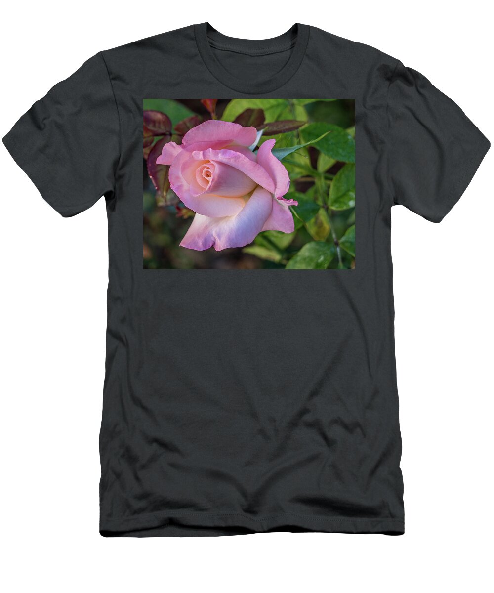 Pink T-Shirt featuring the photograph Pretty in pink by Jane Luxton
