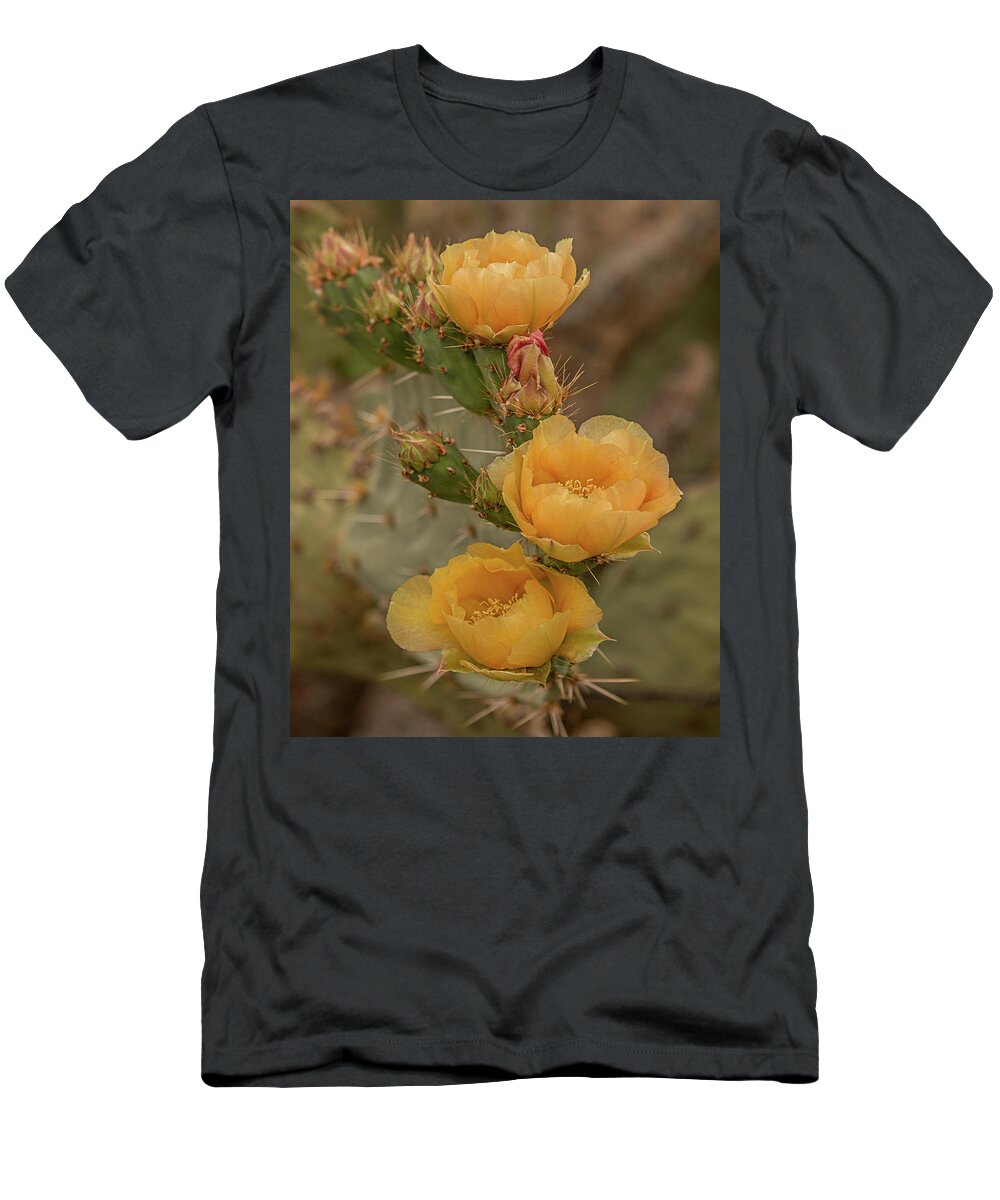 Cactus T-Shirt featuring the photograph Prickly Pear Blossom Trio by Teresa Wilson