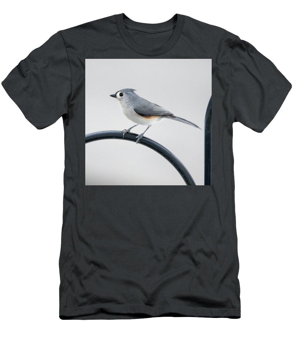 Bird T-Shirt featuring the photograph Profile of a Tufted Titmouse by Darryl Hendricks