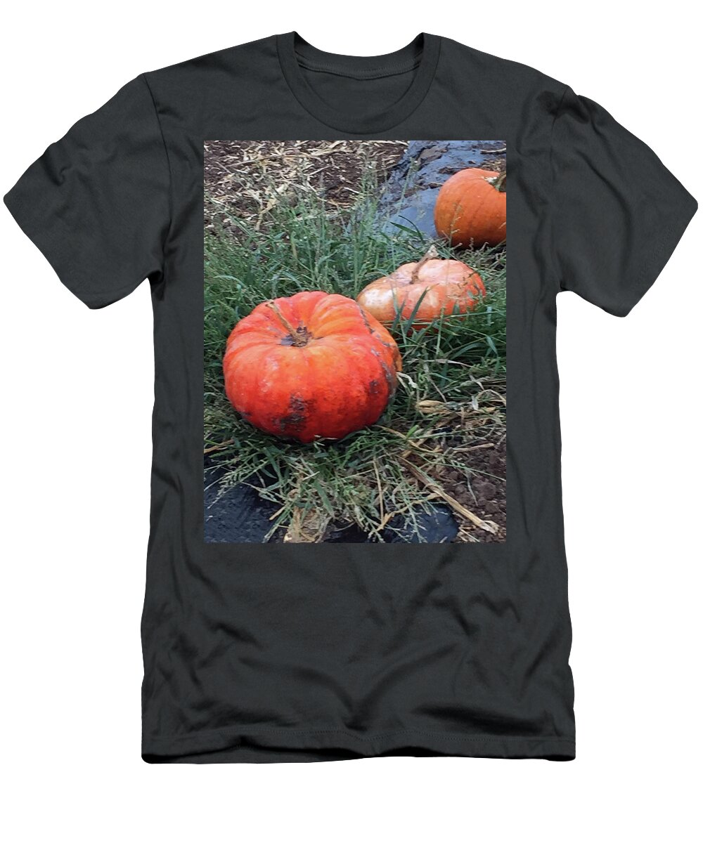Pumpkins T-Shirt featuring the photograph Pumpkins in a Row by Portraits By NC