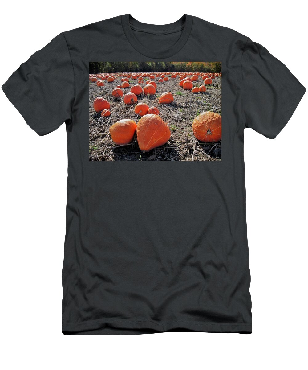 Imperfect T-Shirt featuring the photograph Pumpkins of an Imperfect World by Mary Lee Dereske