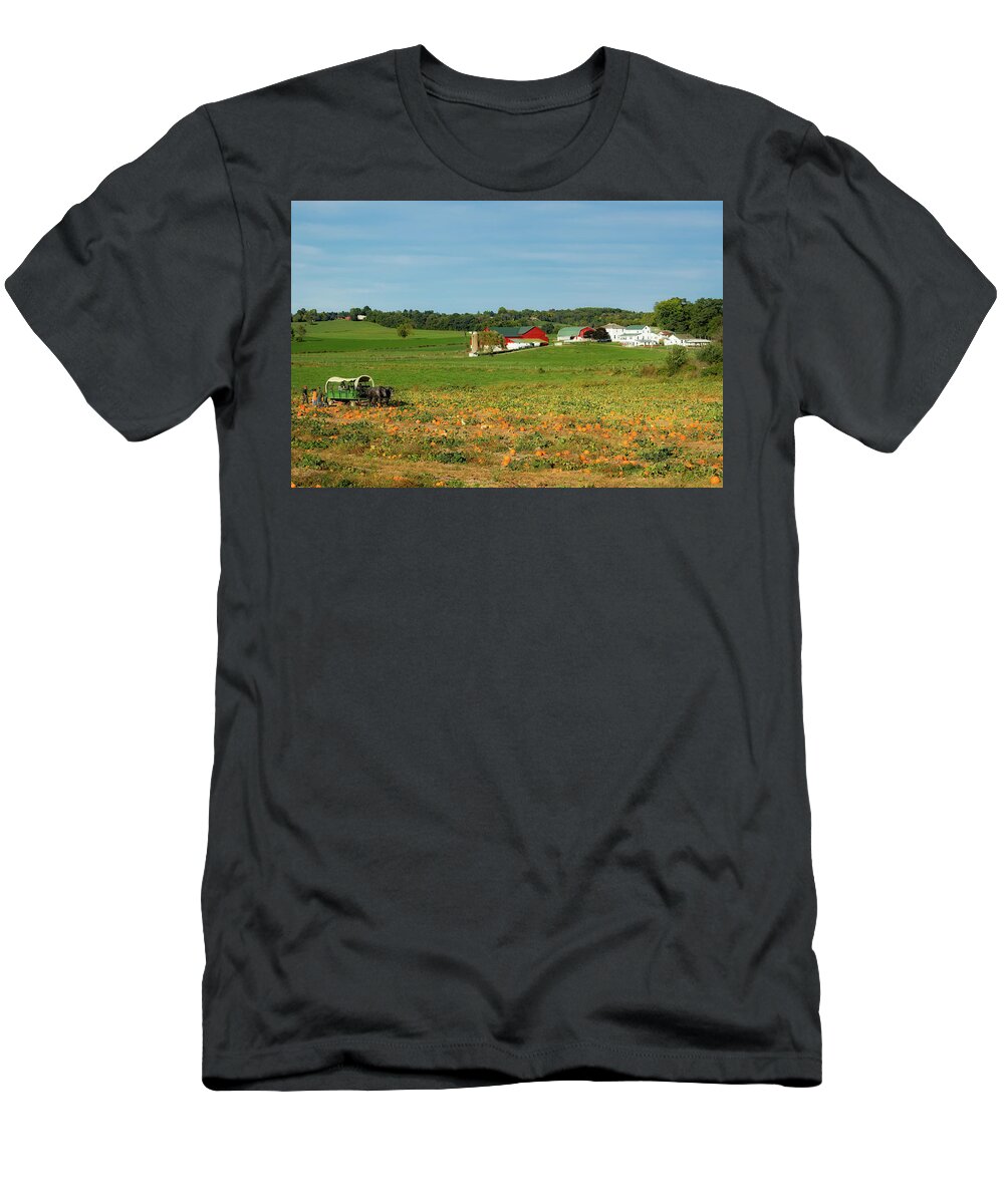 Ohio T-Shirt featuring the photograph Pumpkins on an Ohio Amish Farm by Mountain Dreams