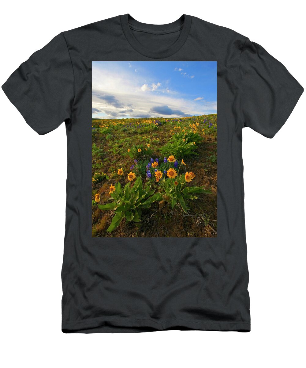Wildflowers T-Shirt featuring the photograph Purple and Gold by Michael Dawson