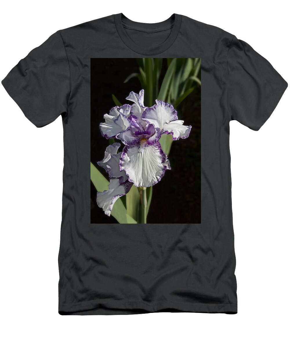 Iris T-Shirt featuring the photograph Purple and White Iris - 1583 by C VandenBerg