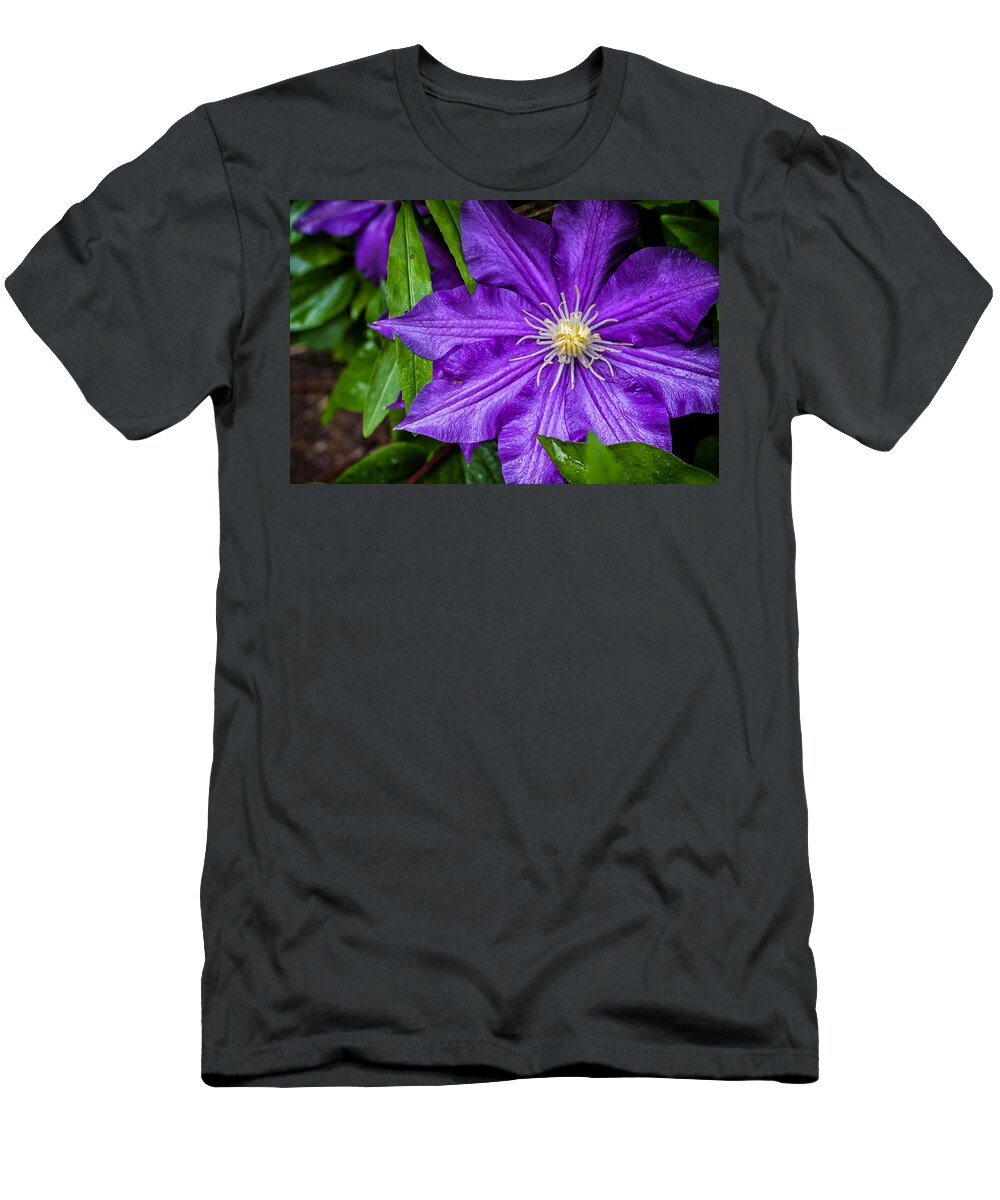 Fa 31 T-Shirt featuring the photograph Purple Clematis by Lori Coleman
