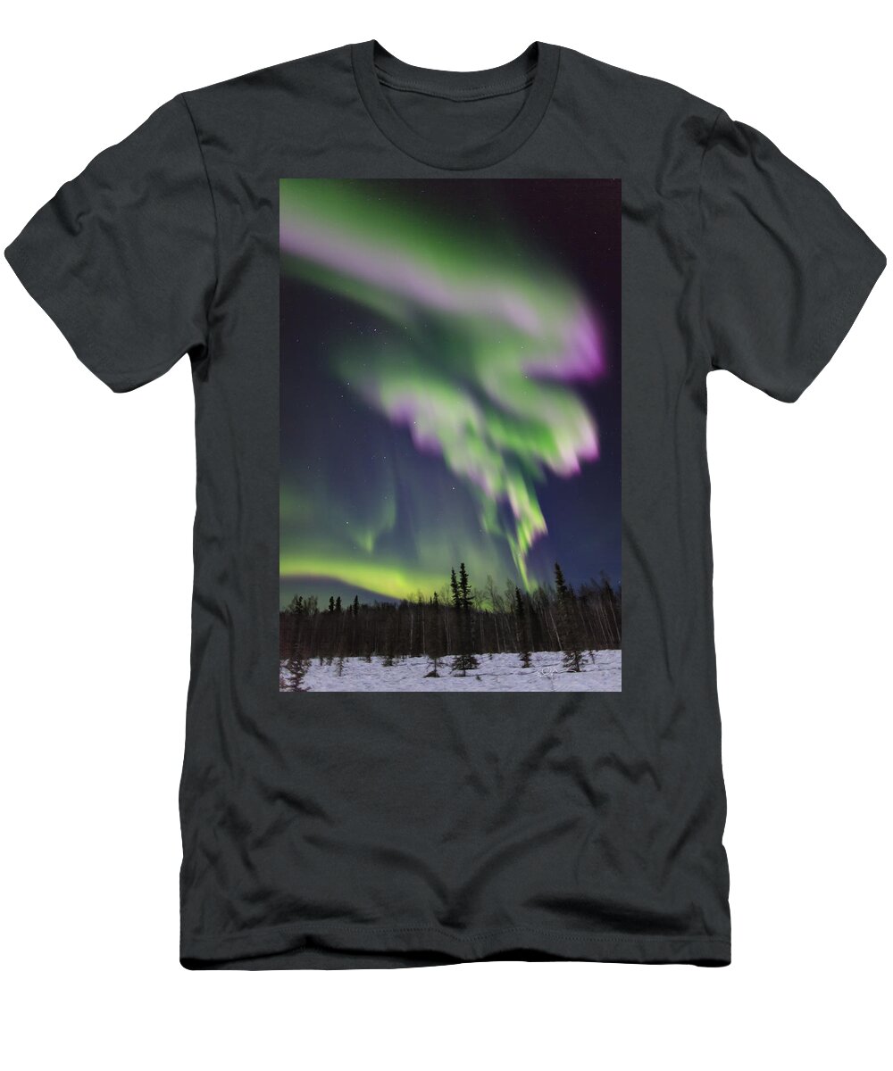 Alaska T-Shirt featuring the photograph Purple Dragon by Ed Boudreau
