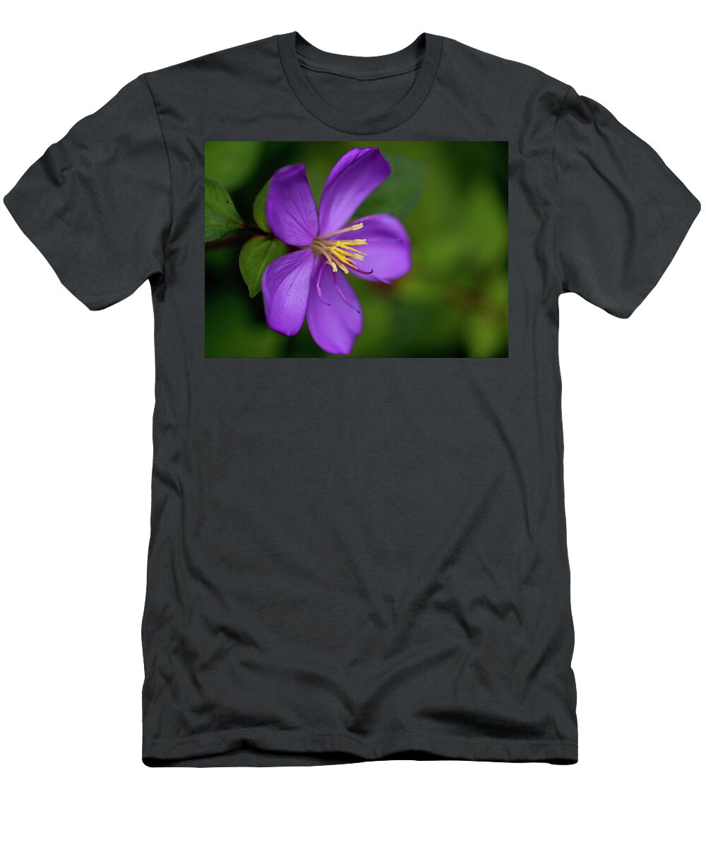 hamama Falls T-Shirt featuring the photograph Purple flower Macro by Dan McManus