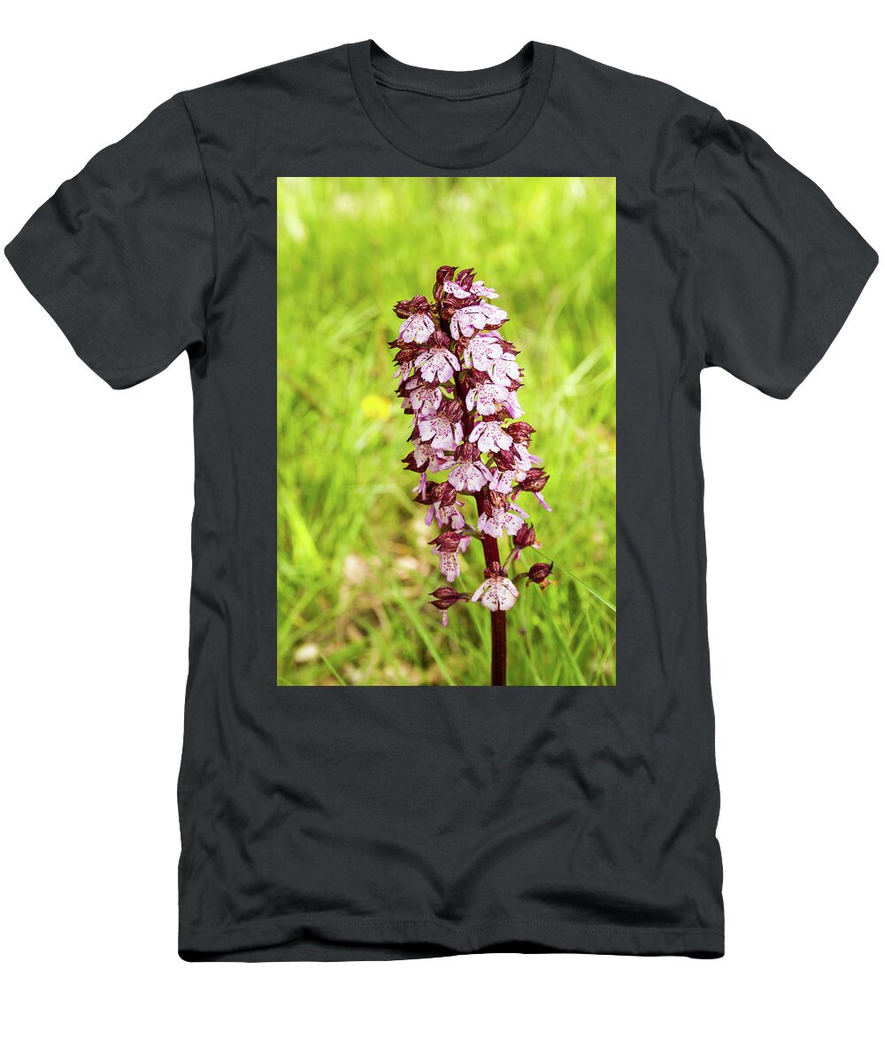 Flower T-Shirt featuring the photograph Purple orchis - 1 - French Alps by Paul MAURICE