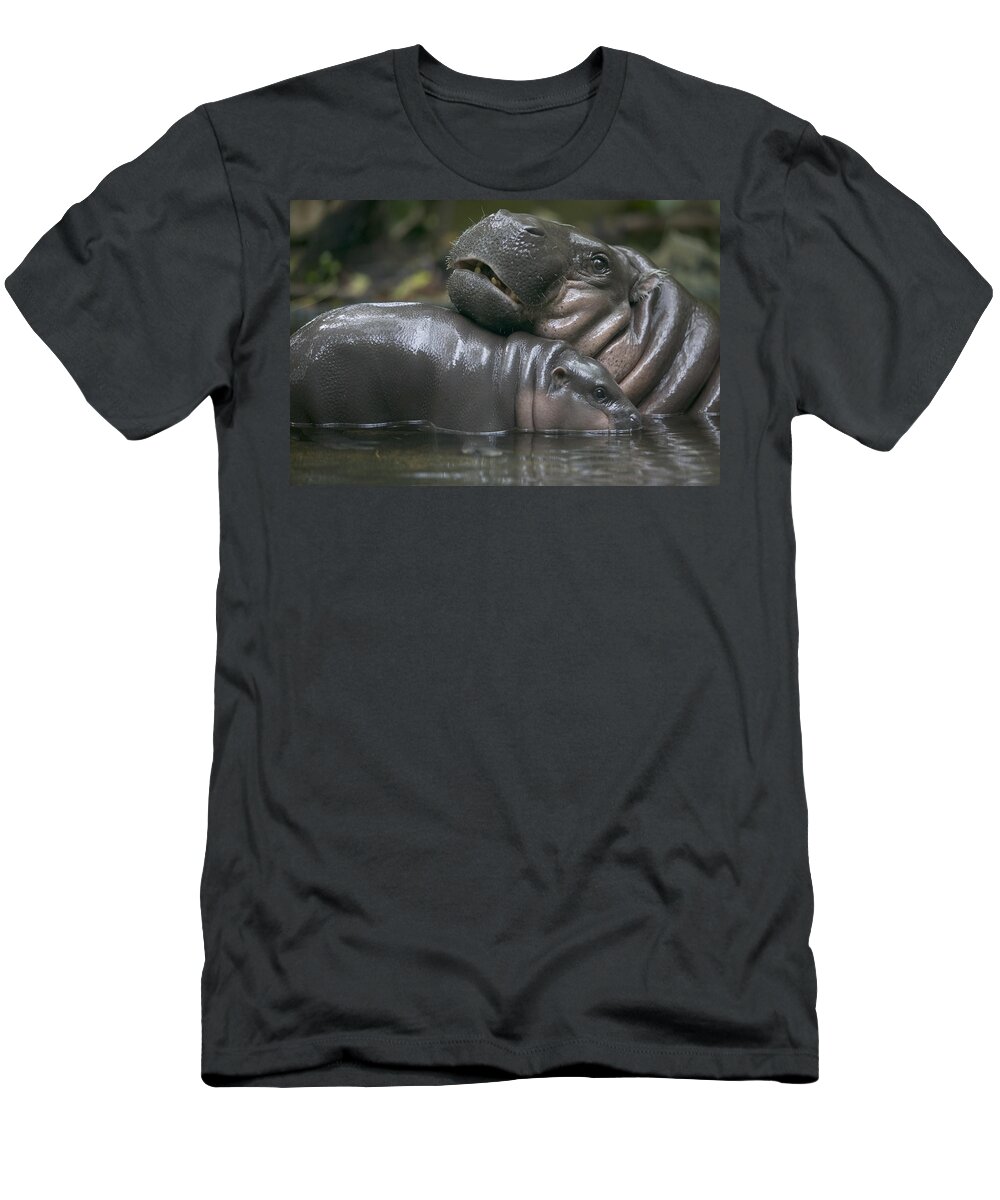 00620394 T-Shirt featuring the photograph Pygmy Hippopotamus Hexaprotodon Liberiensis by Cyril Ruoso