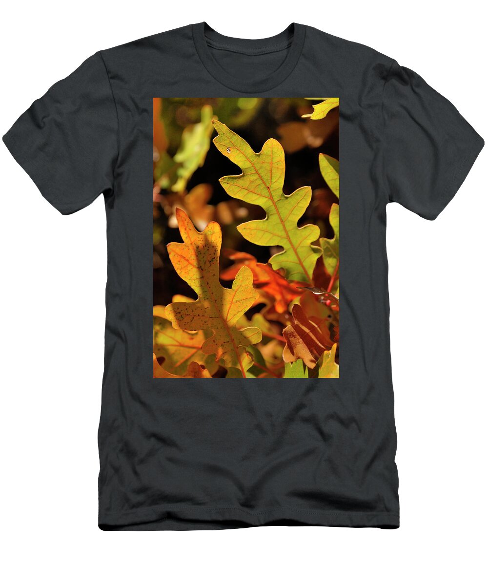 Nature T-Shirt featuring the photograph Pygmy Oak II by Ron Cline