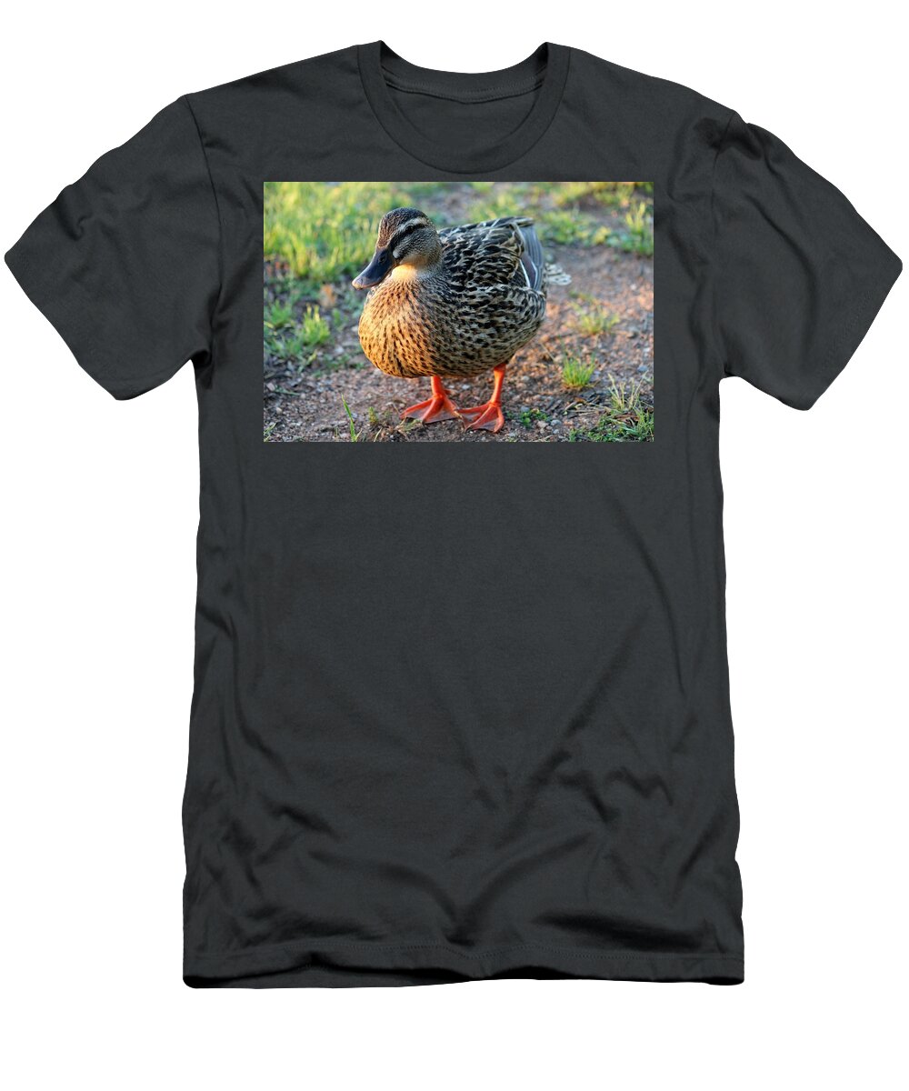 Duck T-Shirt featuring the photograph Quack by Christy Pooschke