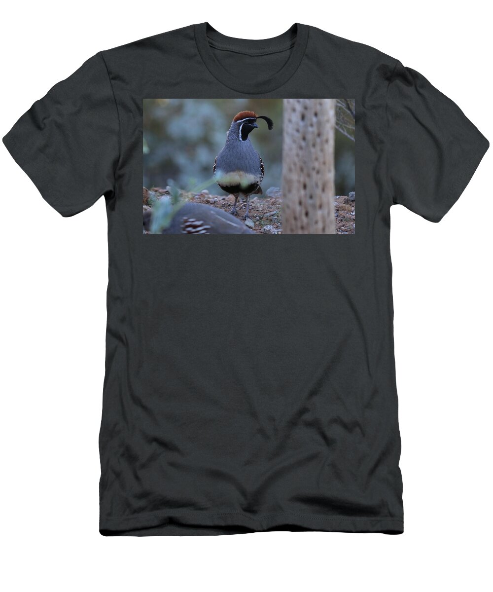 Quail T-Shirt featuring the photograph Quail by Christy Pooschke