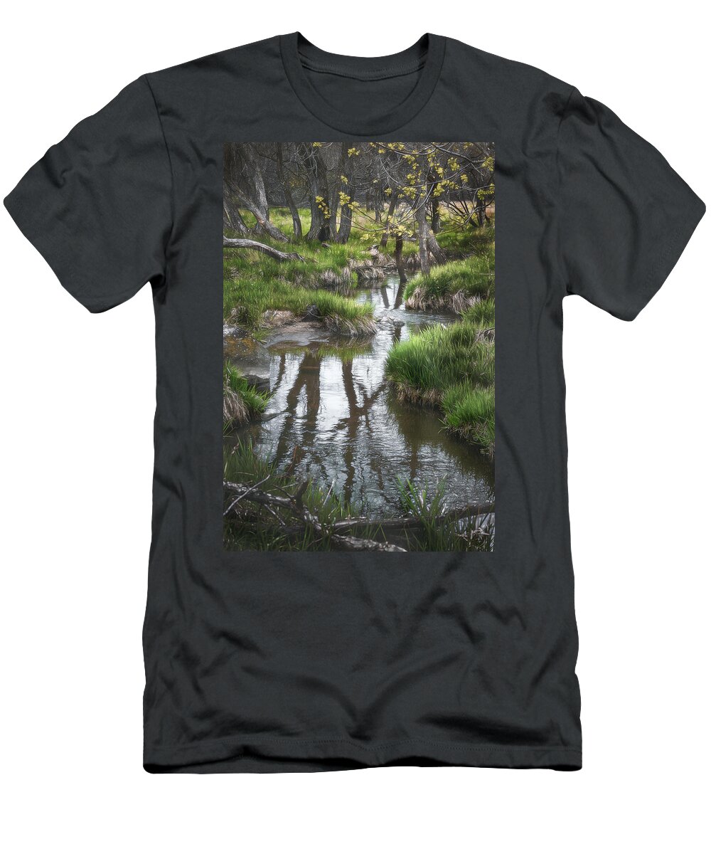 Stream T-Shirt featuring the photograph Quiet Stream by Scott Norris