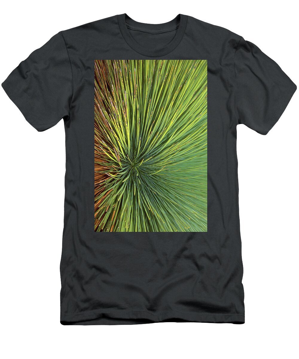 Radiate T-Shirt featuring the photograph Radiating by Ted Keller