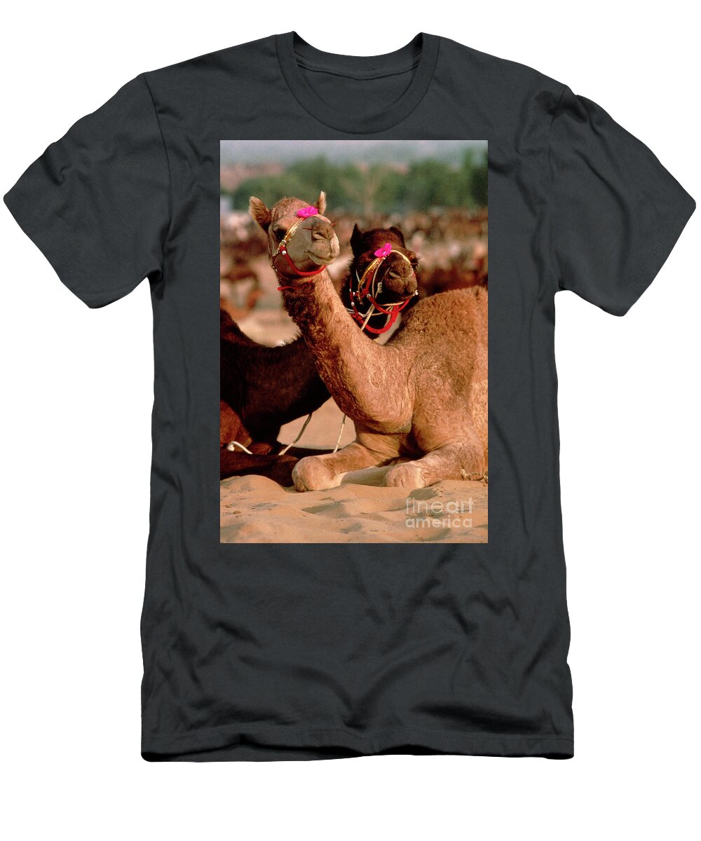 India T-Shirt featuring the photograph Rajasthan_21-19 by Craig Lovell