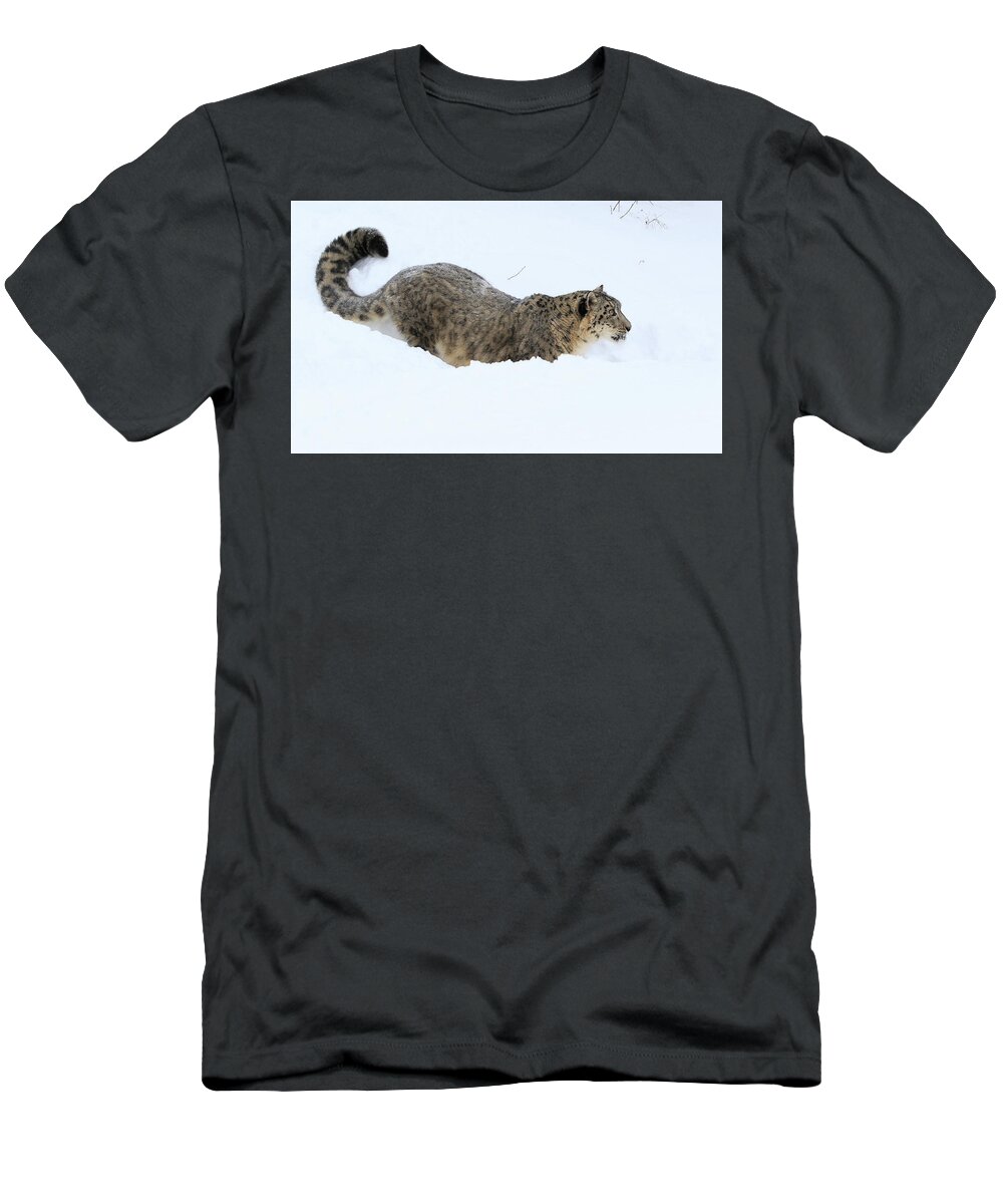 Snow Leopard T-Shirt featuring the photograph Rare Cat by Steve McKinzie
