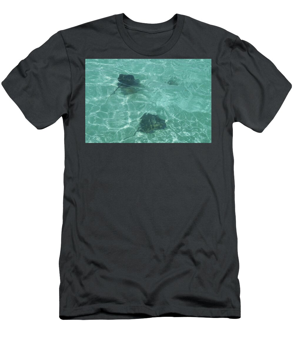 Stingray T-Shirt featuring the photograph Rays by Gary Gunderson