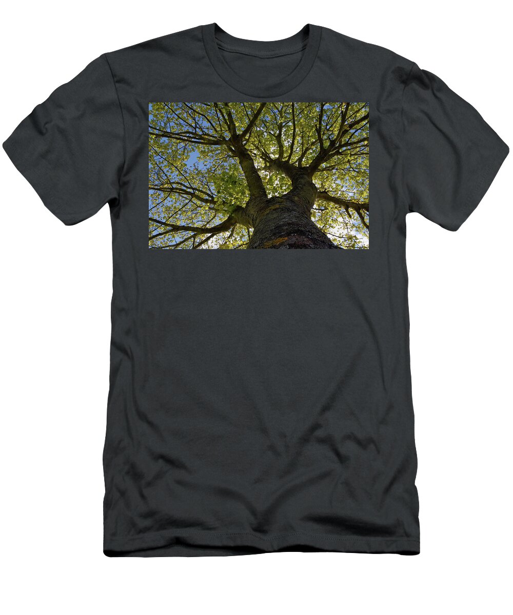 Tree T-Shirt featuring the photograph Reach for the Sky by Kuni Photography