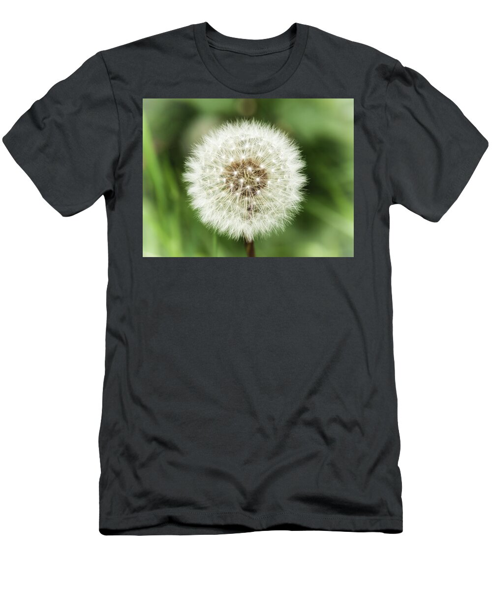 Flower T-Shirt featuring the photograph Ready for Wishes by Nick Bywater