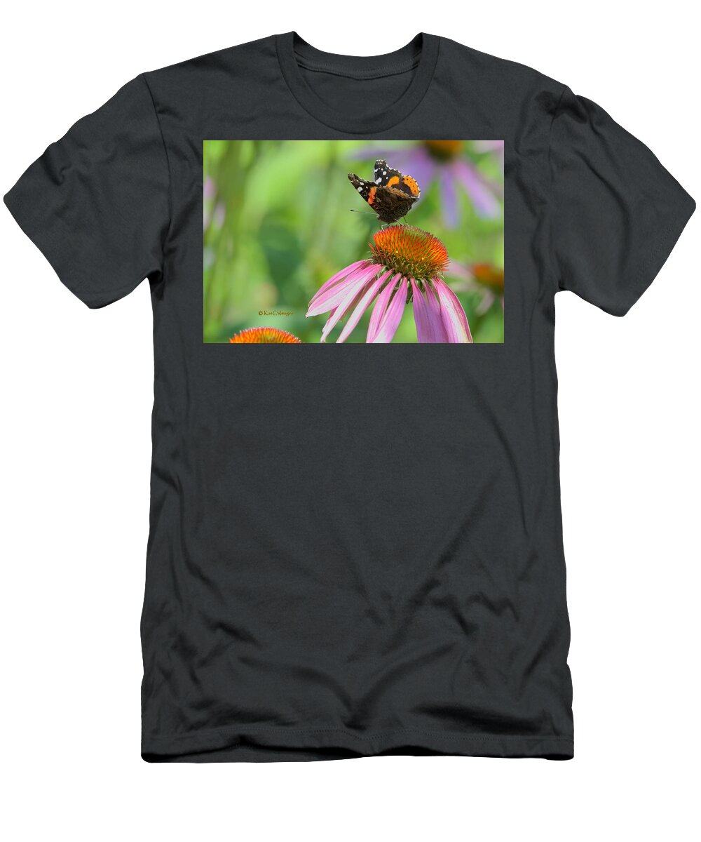 Butterfly T-Shirt featuring the photograph Red Admiral on Cone Flower by Kae Cheatham