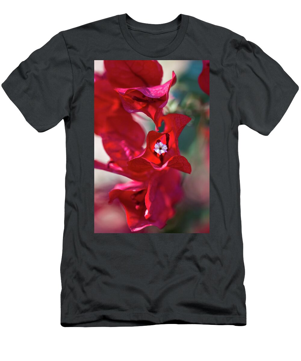 Red T-Shirt featuring the photograph Red Bougainvillea by Susie Weaver